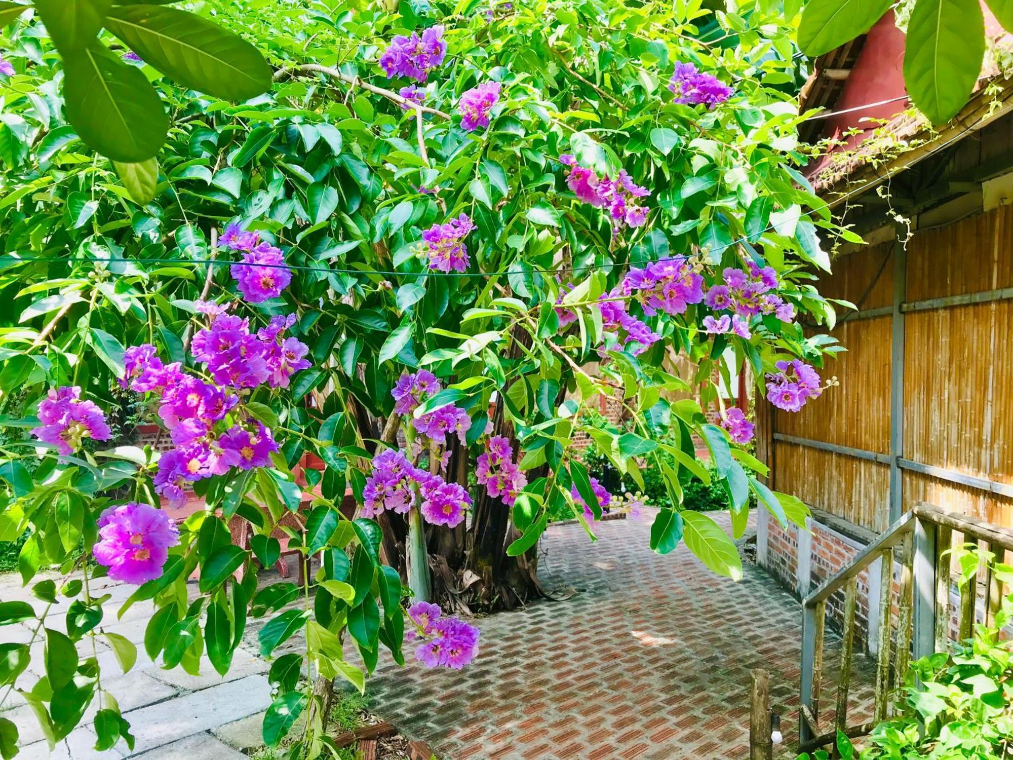 Lake Retreat Ninh Bình Kültér fotó