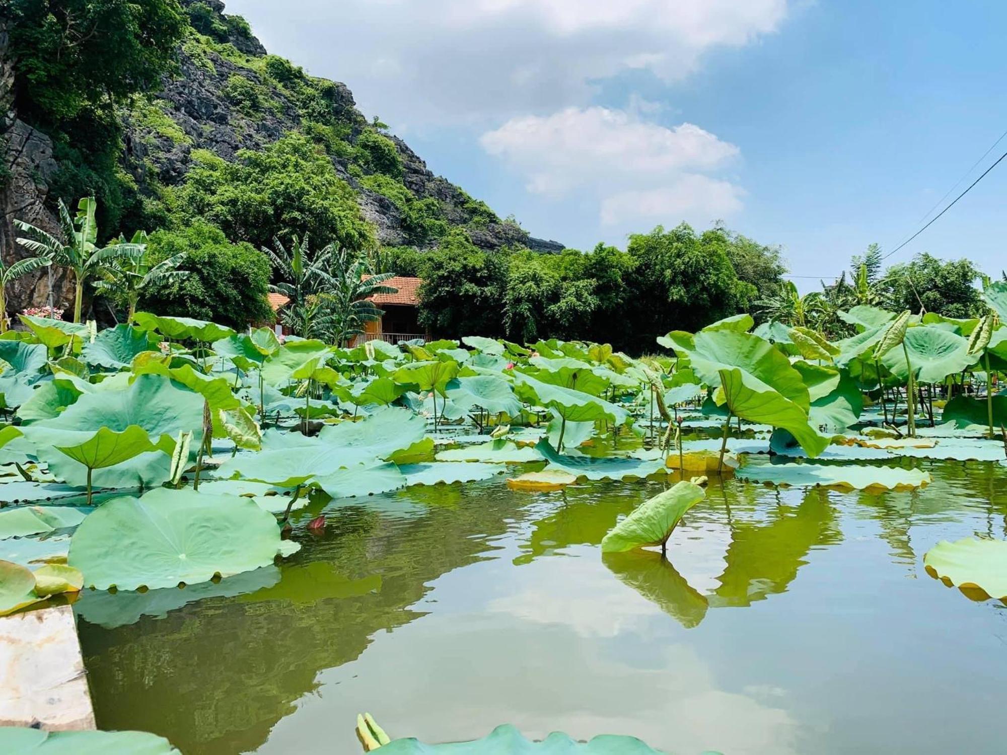 Lake Retreat Ninh Bình Kültér fotó