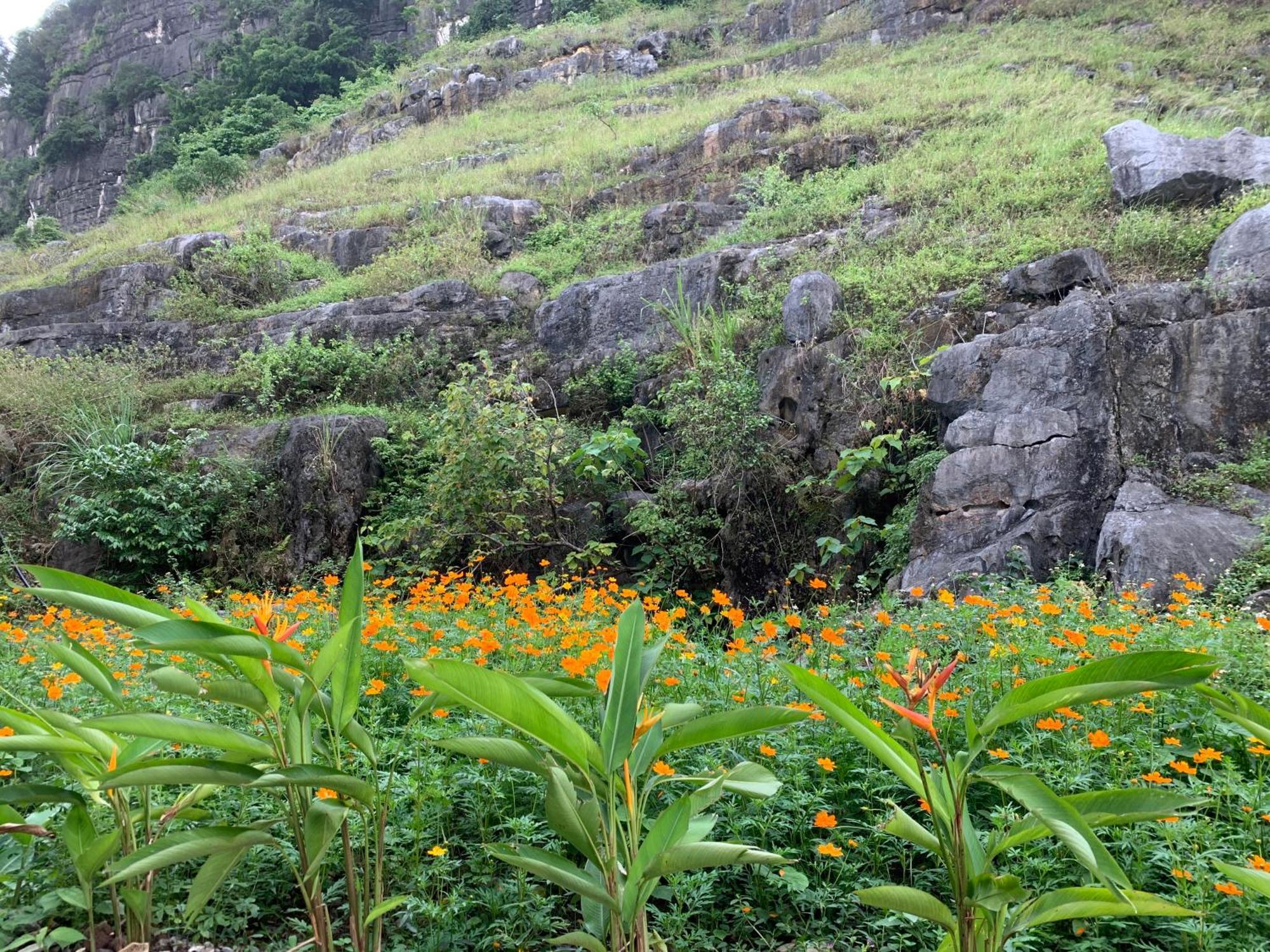 Lake Retreat Ninh Bình Kültér fotó